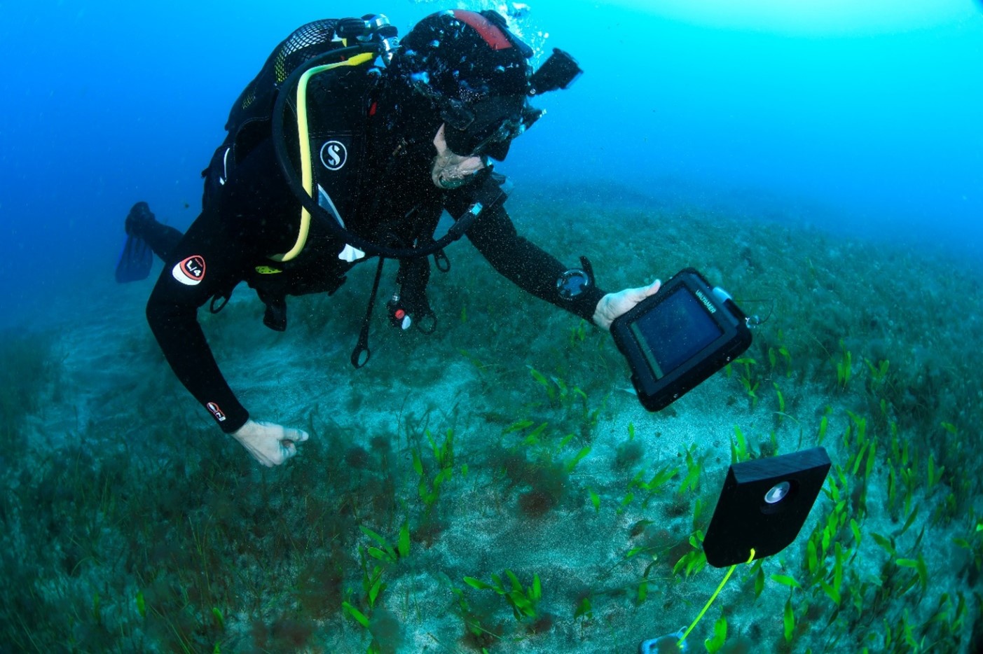 Diver underwater looking at a tablet